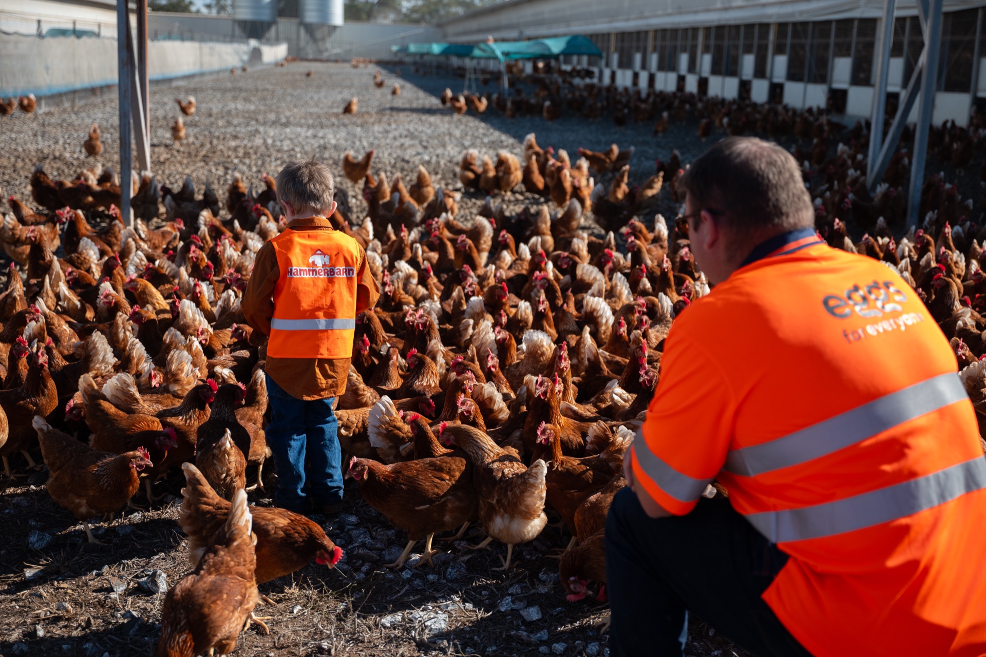 Farmsafe — Set the Standard, Show 'em How It's Done 8