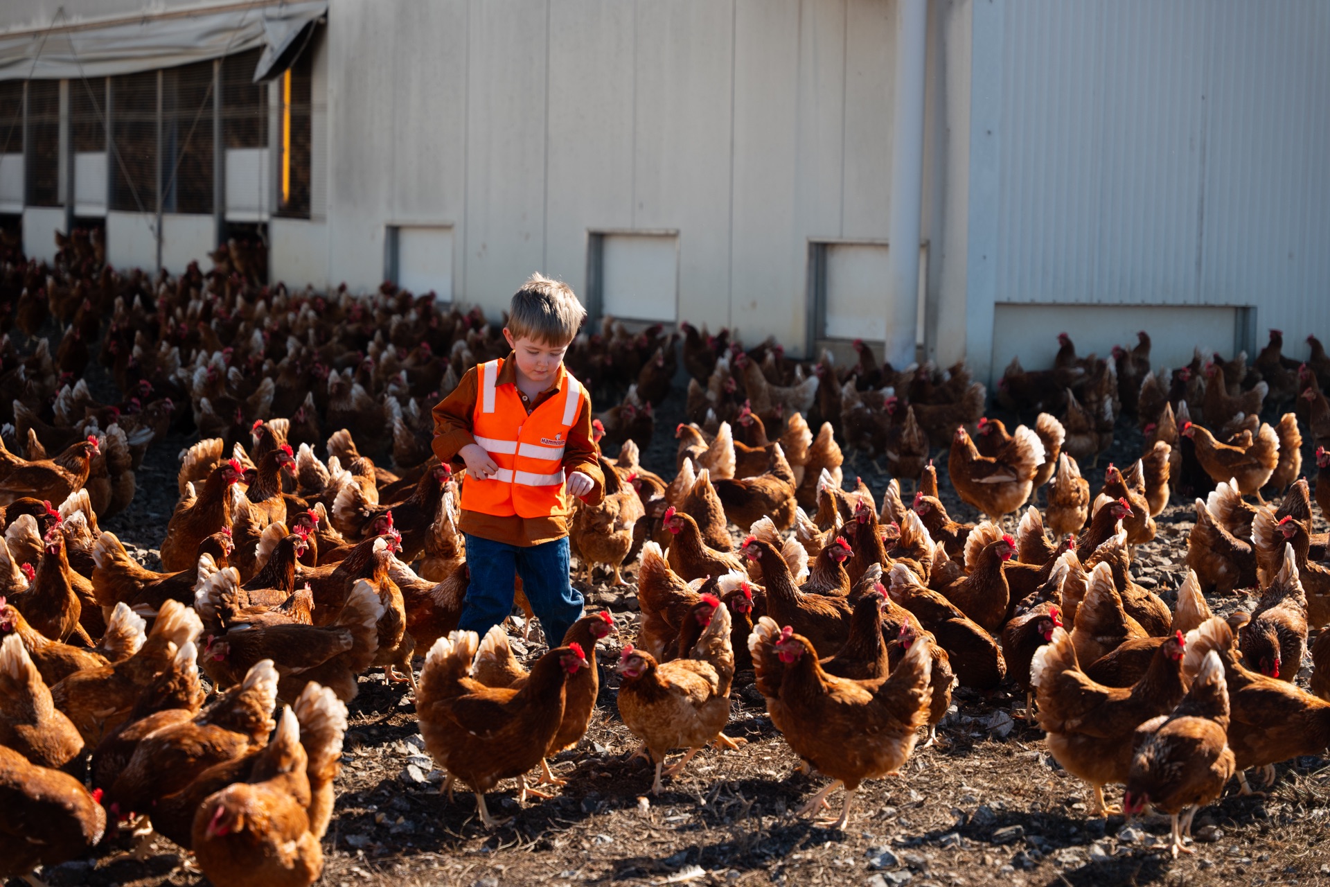 Farmsafe — Set the Standard, Show 'em How It's Done 9